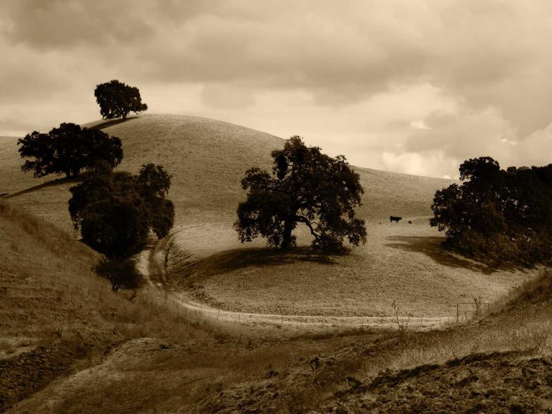 sudoku daily streak screenshot 1